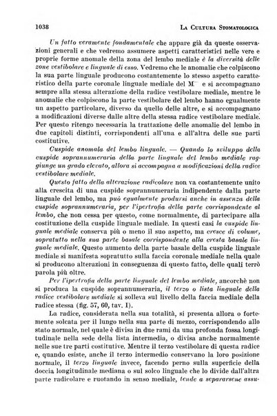 La cultura stomatologica rassegna mensile di scienza, arte, storia e problemi professionali