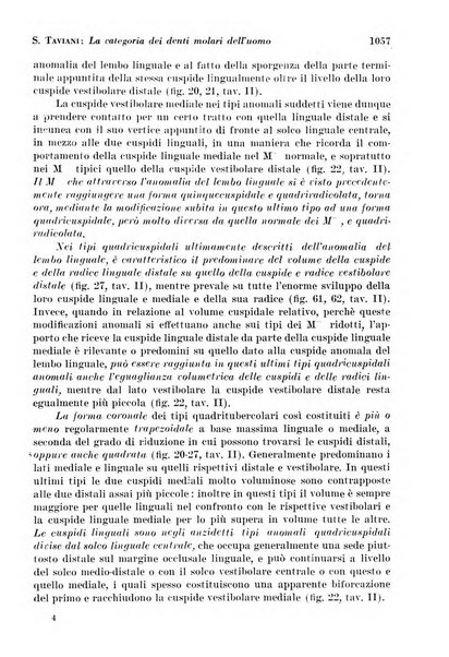 La cultura stomatologica rassegna mensile di scienza, arte, storia e problemi professionali