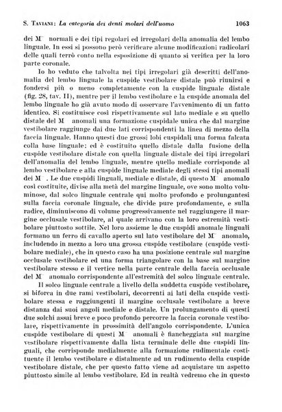 La cultura stomatologica rassegna mensile di scienza, arte, storia e problemi professionali