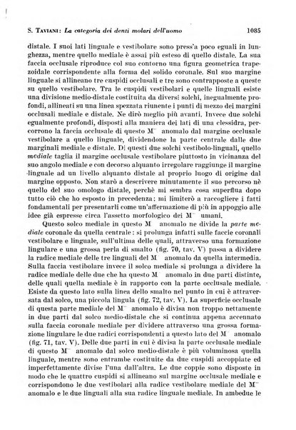 La cultura stomatologica rassegna mensile di scienza, arte, storia e problemi professionali