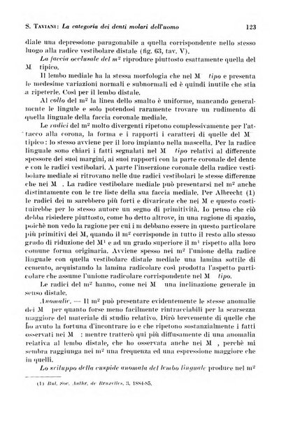 La cultura stomatologica rassegna mensile di scienza, arte, storia e problemi professionali