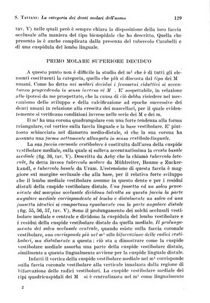 La cultura stomatologica rassegna mensile di scienza, arte, storia e problemi professionali