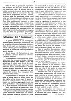 giornale/RML0024944/1918/unico/00000095