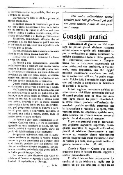 Rivista di agricoltura