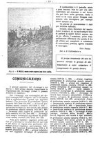 giornale/RML0024944/1918/unico/00000233