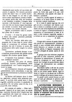 giornale/RML0024944/1919/unico/00000031