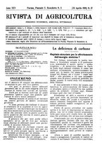 giornale/RML0024944/1919/unico/00000061