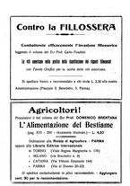 giornale/RML0024944/1921/unico/00000010