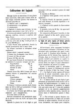 giornale/RML0024944/1921/unico/00000053