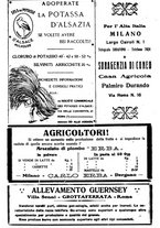 giornale/RML0024944/1922/unico/00000064