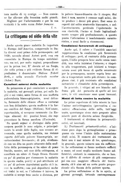 Rivista di agricoltura