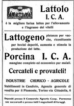 giornale/RML0024944/1922/unico/00000255