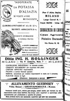 giornale/RML0024944/1922/unico/00000256