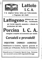 giornale/RML0024944/1922/unico/00000337