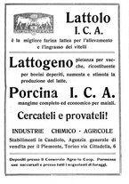 giornale/RML0024944/1922/unico/00000377