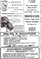 giornale/RML0024944/1922/unico/00000394