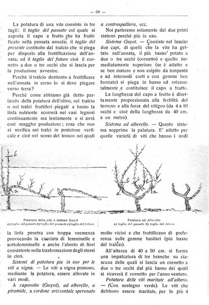 Rivista di agricoltura