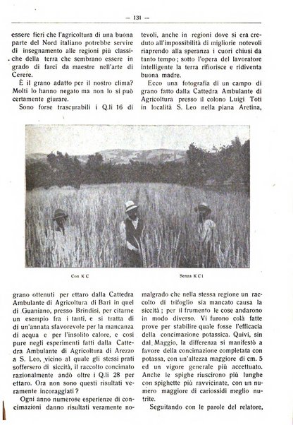 Rivista di agricoltura