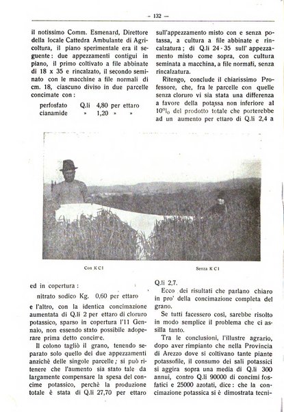 Rivista di agricoltura