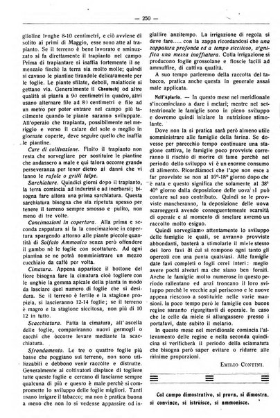 Rivista di agricoltura