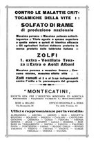 giornale/RML0024944/1923/unico/00000253