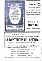 giornale/RML0024944/1923/unico/00000254