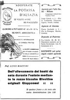 giornale/RML0024944/1924/unico/00000097