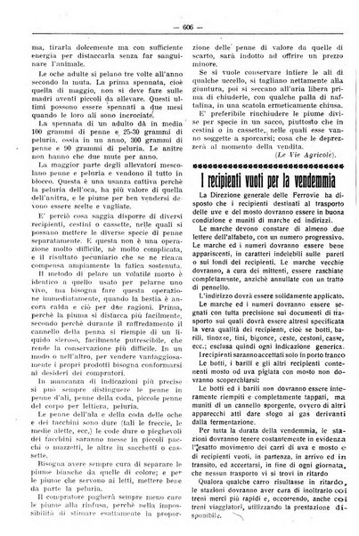 Rivista di agricoltura