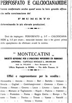 giornale/RML0024944/1924/unico/00000222