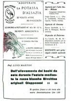 giornale/RML0024944/1924/unico/00000257