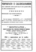 giornale/RML0024944/1924/unico/00000317