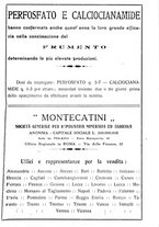 giornale/RML0024944/1924/unico/00000381