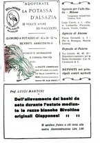 giornale/RML0024944/1924/unico/00000385