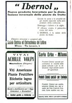 giornale/RML0024944/1924/unico/00000388