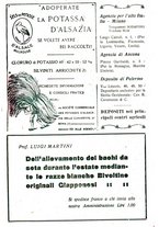 giornale/RML0024944/1924/unico/00000417