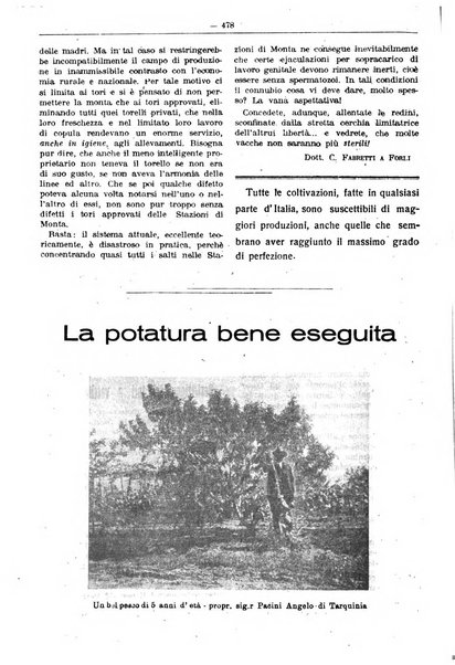 Rivista di agricoltura