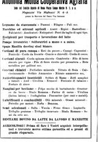 giornale/RML0024944/1928/unico/00000312