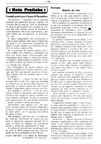 giornale/RML0024944/1928/unico/00000387