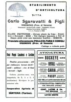 giornale/RML0024944/1928/unico/00000514