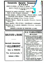 giornale/RML0024944/1928/unico/00000570