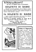 giornale/RML0024944/1932/unico/00000195