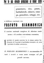 giornale/RML0024944/1933/unico/00000148