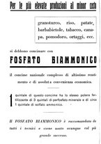 giornale/RML0024944/1933/unico/00000292