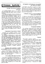 giornale/RML0024944/1933/unico/00000311