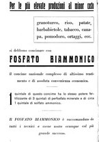 giornale/RML0024944/1933/unico/00000340