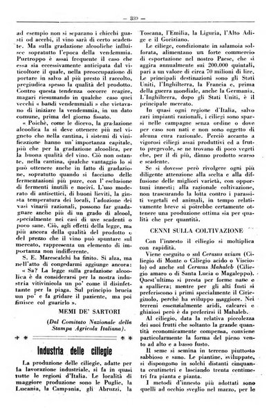 Rivista di agricoltura