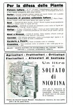 giornale/RML0024944/1933/unico/00000361