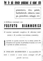 giornale/RML0024944/1933/unico/00000364