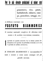 giornale/RML0024944/1933/unico/00000388