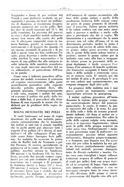 Rivista di agricoltura